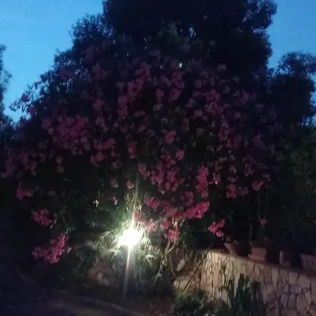 Apartment Nel Giardino Fiorito Salerno